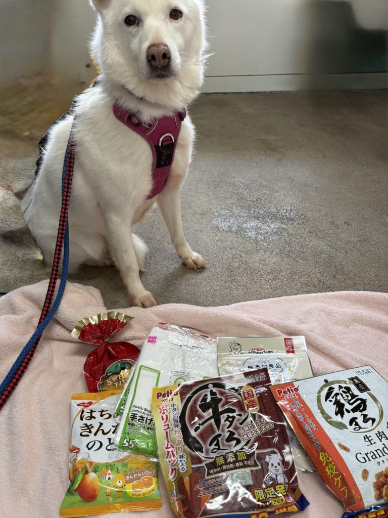 f3dd01fee0aa4a5897dcf26669b8d6e1