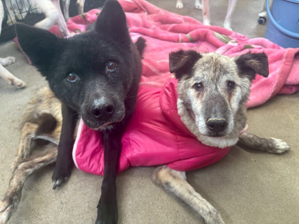 589fffa3b6f7b8b4068f983c76b6e4bb