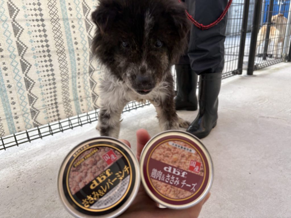 ee12c07e9992fe621891a61ae2a3c0d7