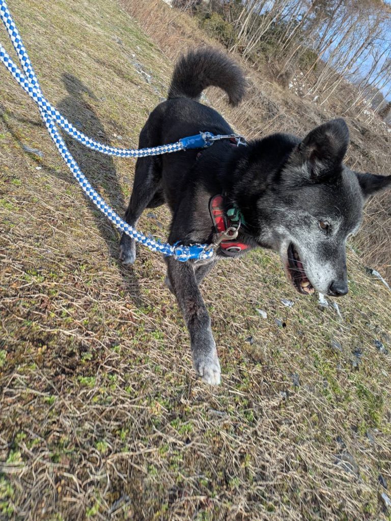 24a43615bbe72df974b2cf5d530742df