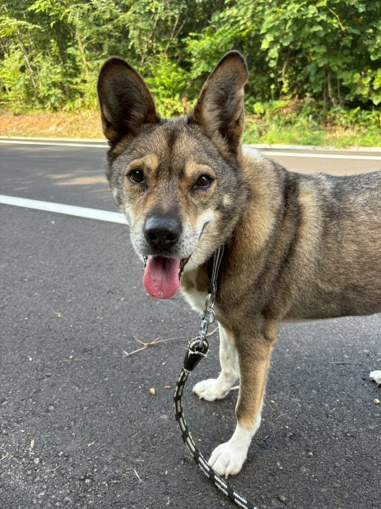 96acc81532186b9f1e80dc0d6a3c99bf