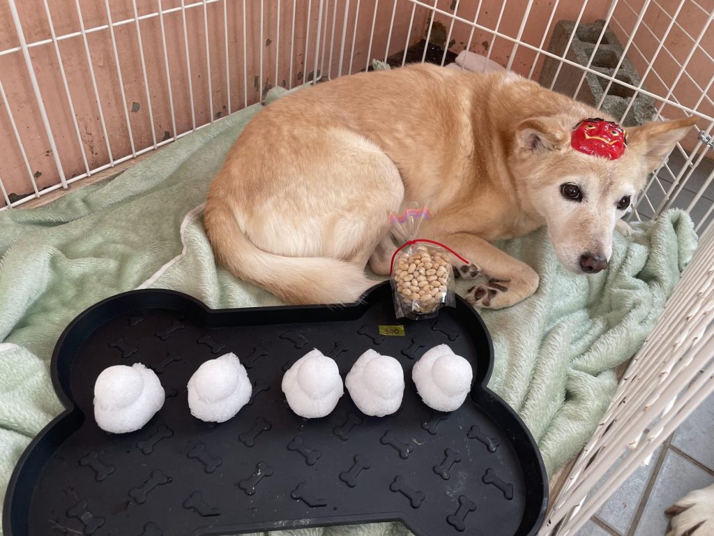 f819d6428bc3e0b807315df1c9edf6b2