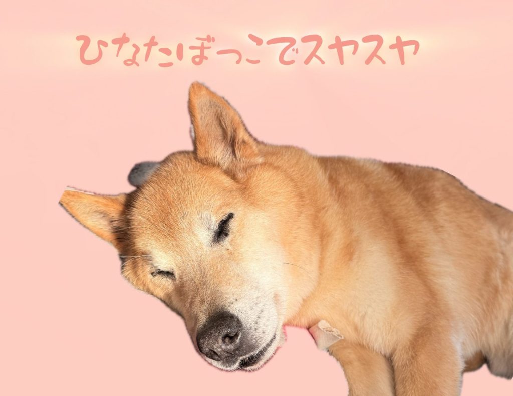 597737f9af87d0b1b6bf49fa60429ea8