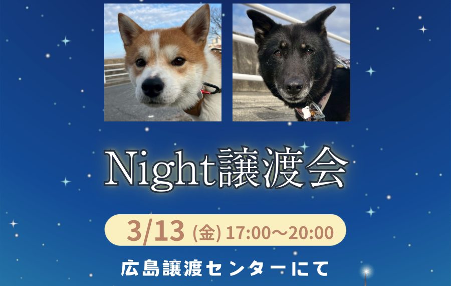 D6C6F236 700C 481D 8D1A E07A102F731B