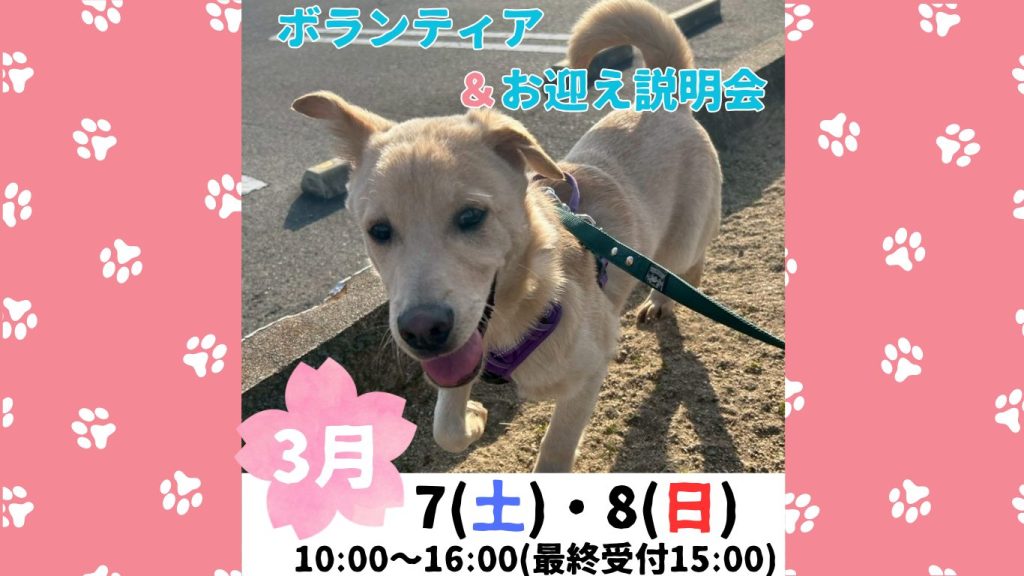 4710079729d19f152a19c663b84980bf