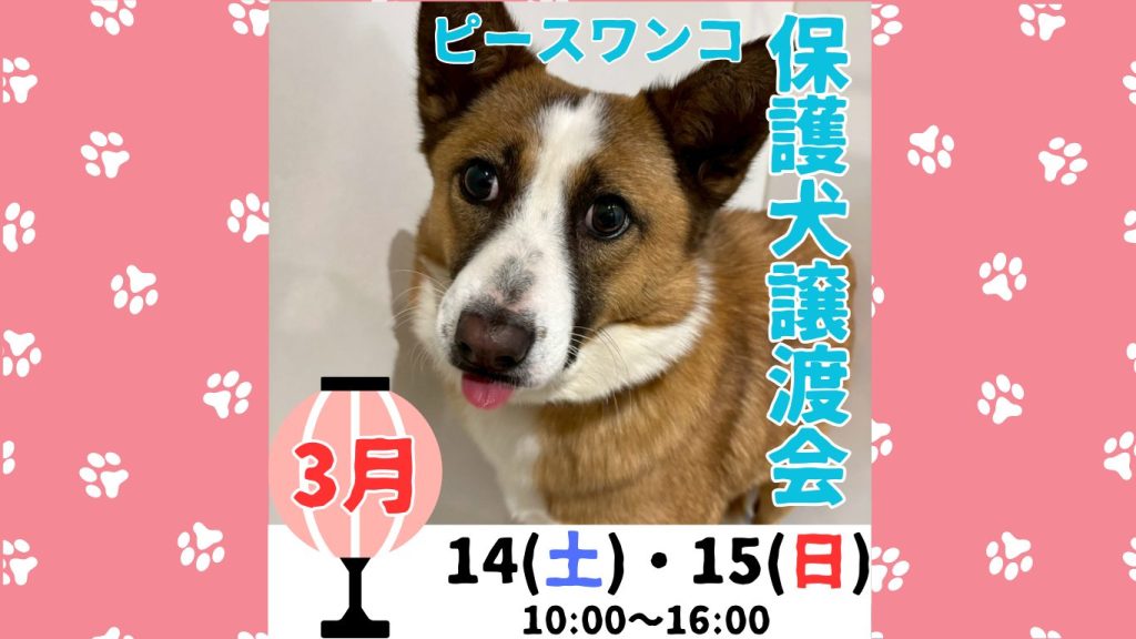 4710079729d19f152a19c663b84980bf 1