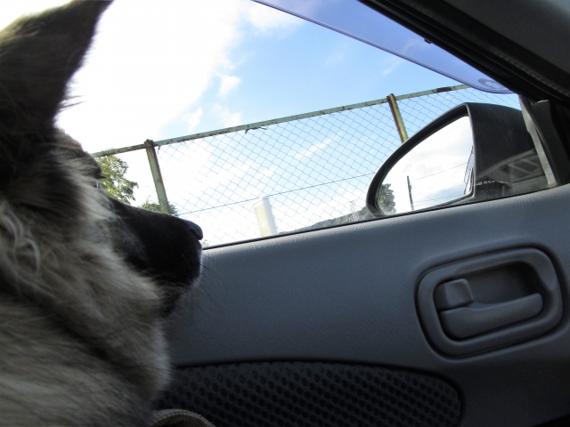 472c01191d147cd72d8374939276093d