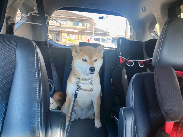 1045300aaae07253c4b7930433113ef5 1