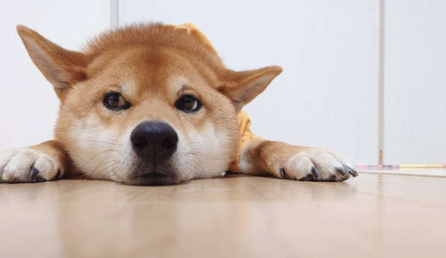 b842e5bb96f227d8b446a0d3a0e1942f