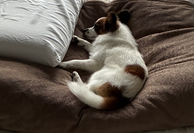 111f43dc18b58ec53ece50da3562e68f