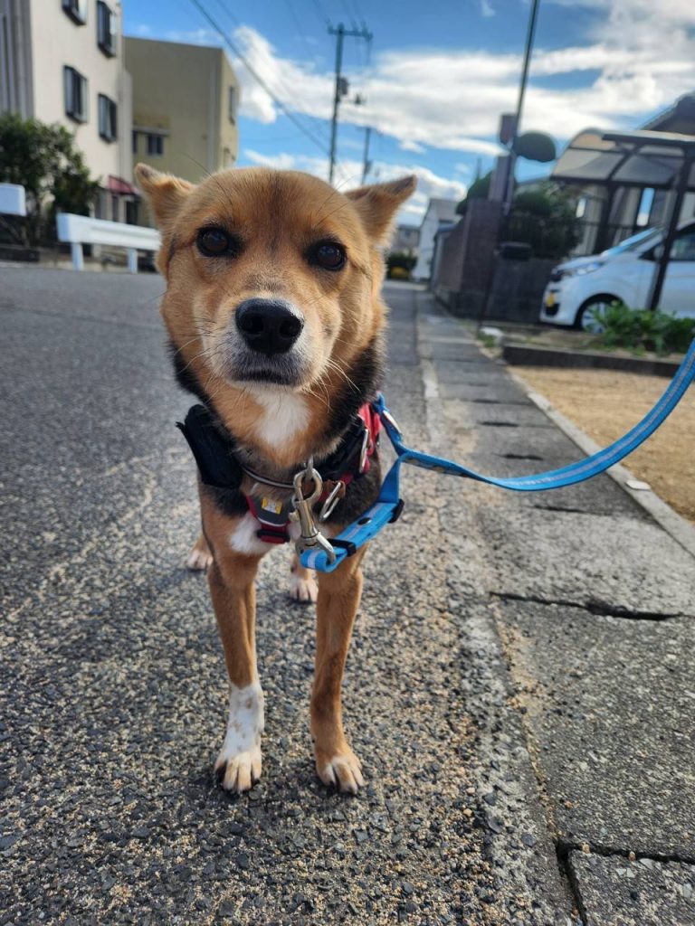 ffe9d5fe9e43db4f49a06bb5c9079cb7