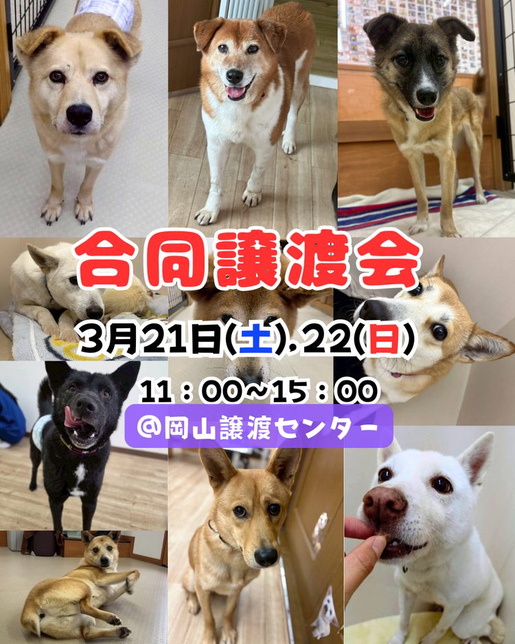 ３月合同譲渡会