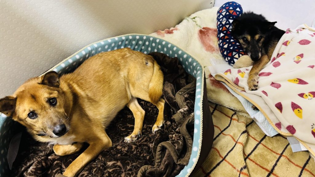 a7d1a187bcf9de4761283acc9d8c3dbe