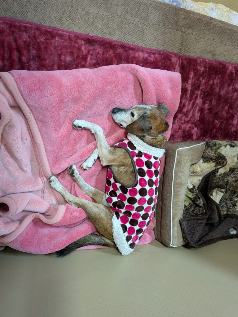 c484aac1c84ea903815092d842dcb82b