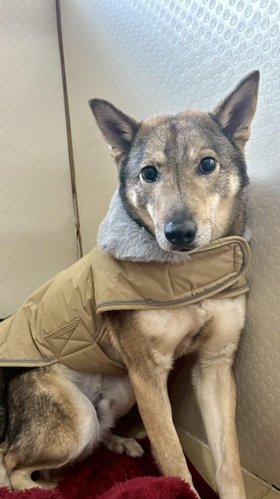 7ae0c9e044c580e5b8b086b7f7d7329d