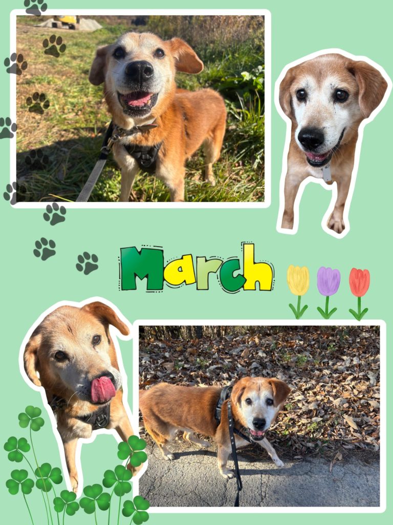 edde96033bd55c029825af2764783478