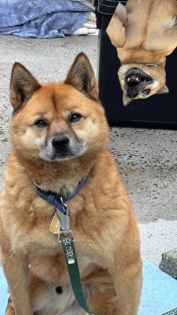 d6b66e1a77c4e729ceda1a6c11d2b1aa