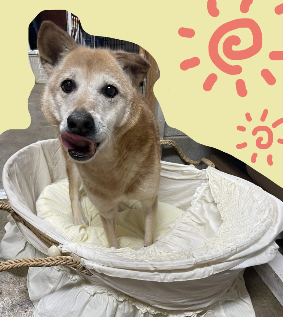 68493c20833e2cf9fee7c648368e51de