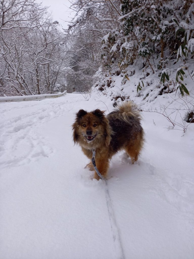 d8cb061c0724c5393fc802e85f8ab252