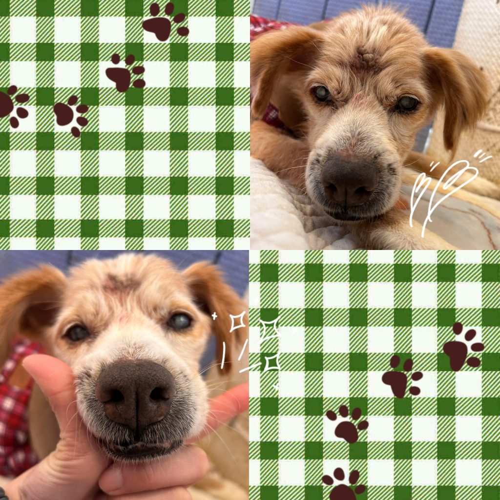 7e1fa0d030e3a542f0ed480184693742