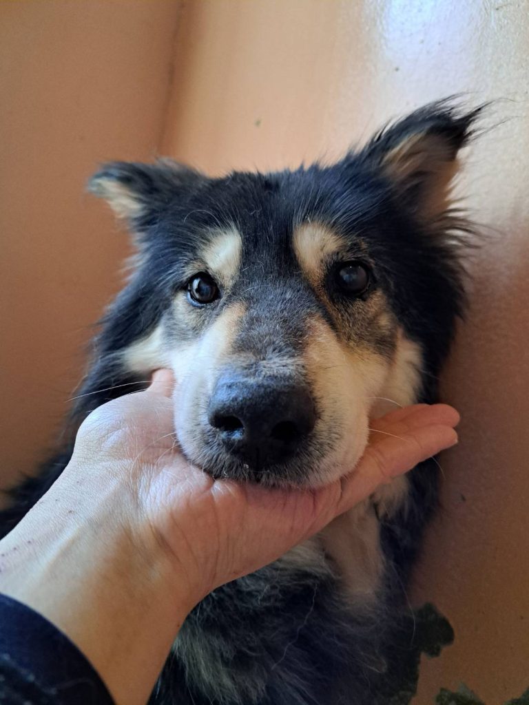 2d72d8c871119dee9700bf696ee16694