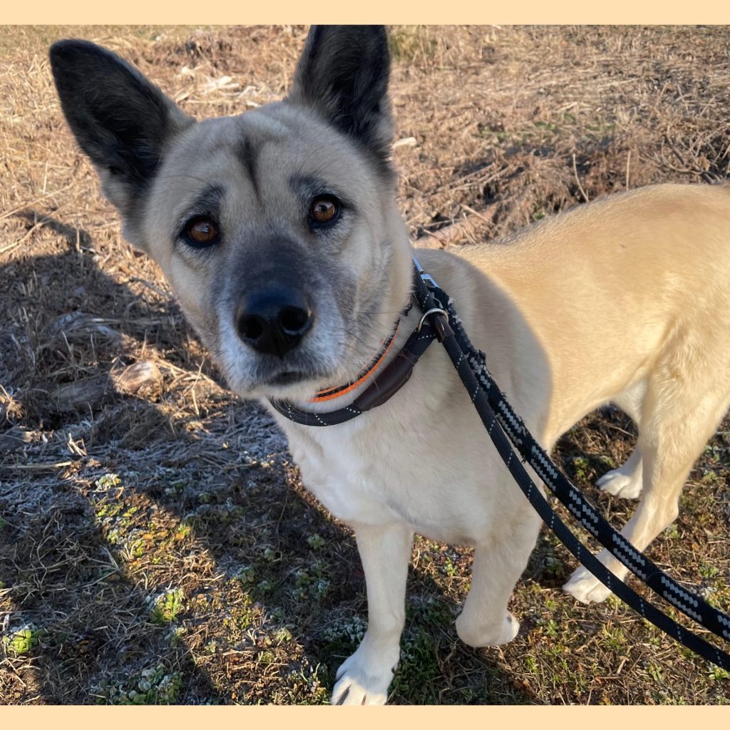 28bba827d71514a2e13aba89c92b189c