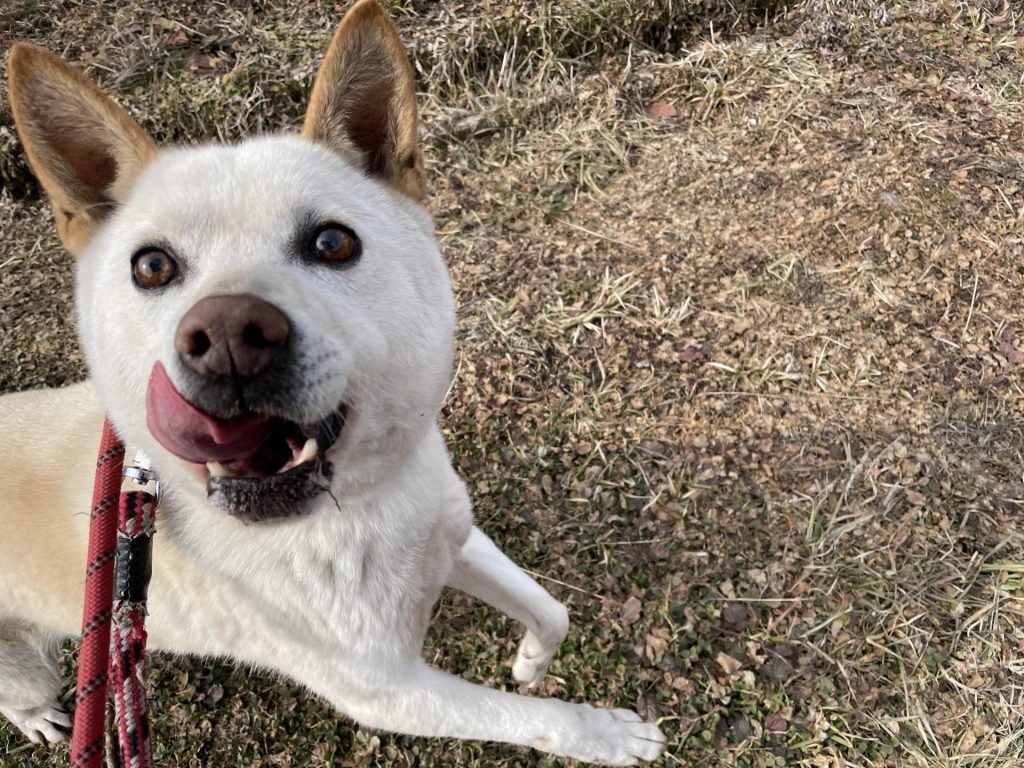 5a27a1f40c580a0956536a9fdb85236a