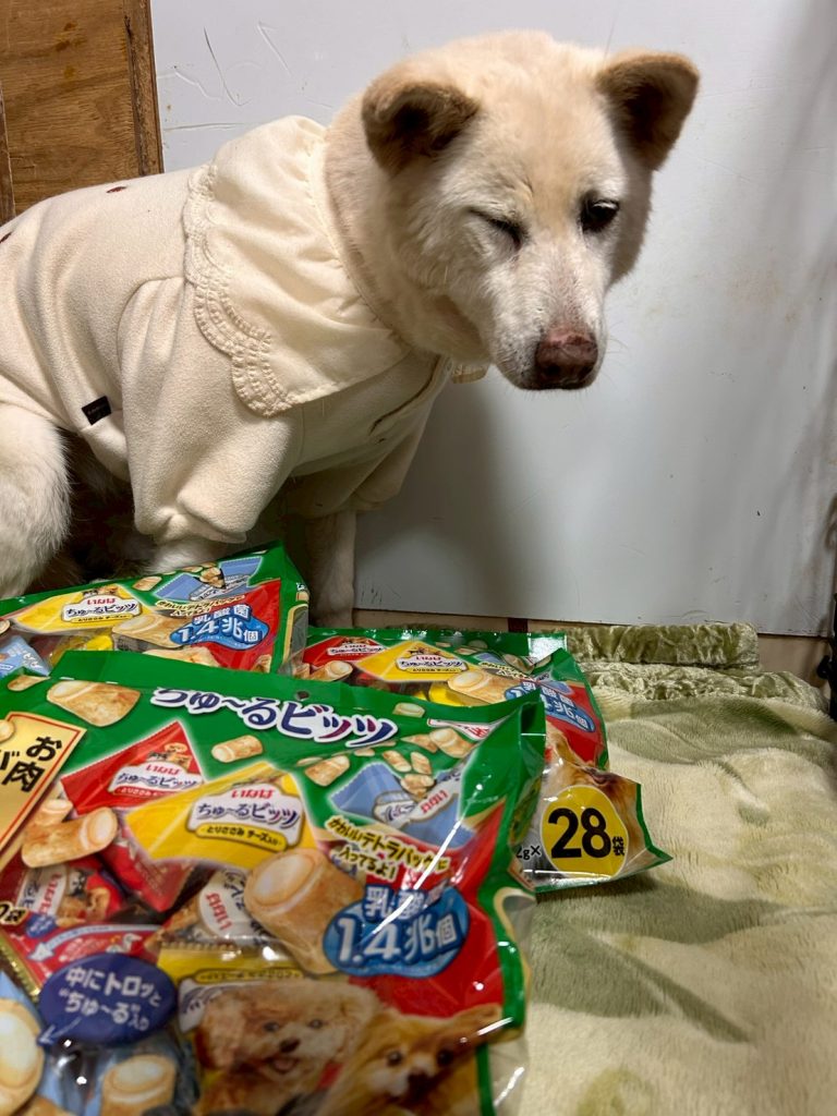 389bff4d0060396755e11de155621bf0