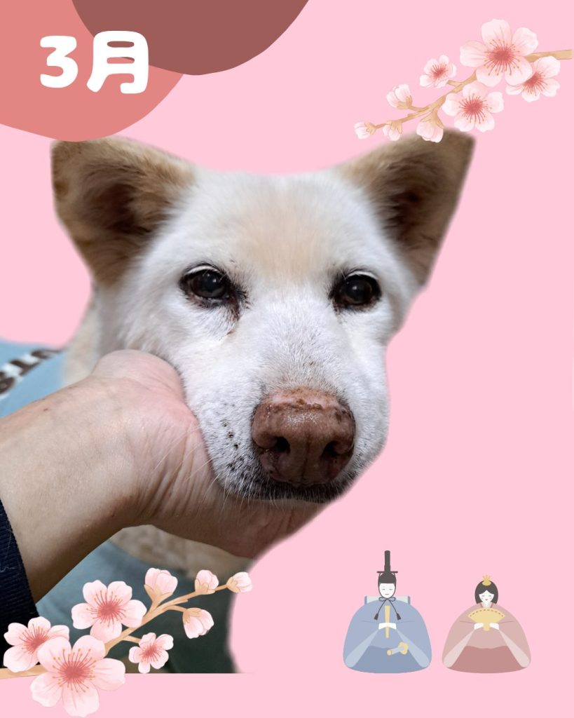 1d637be3a5a5908f9a549a08a8152ddd