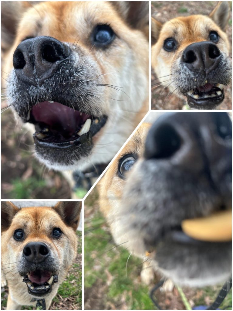 08953ae28ce8de060c1e9d906ce28184