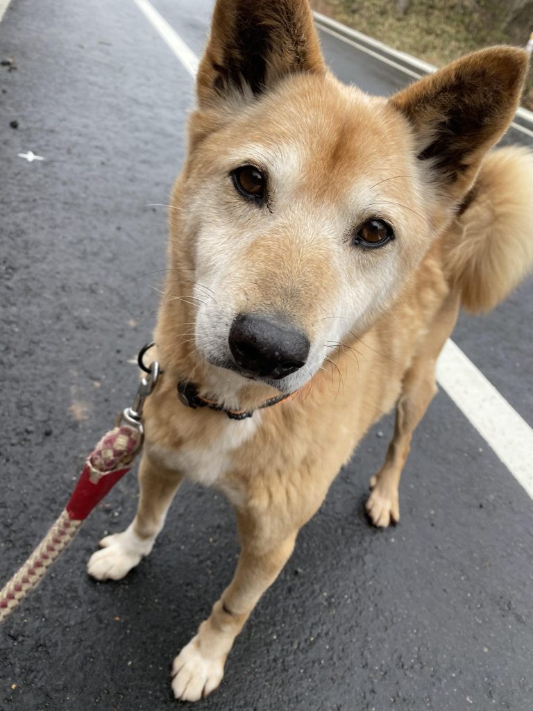 a5982e4eaf38fe8641f9281d2edf520a