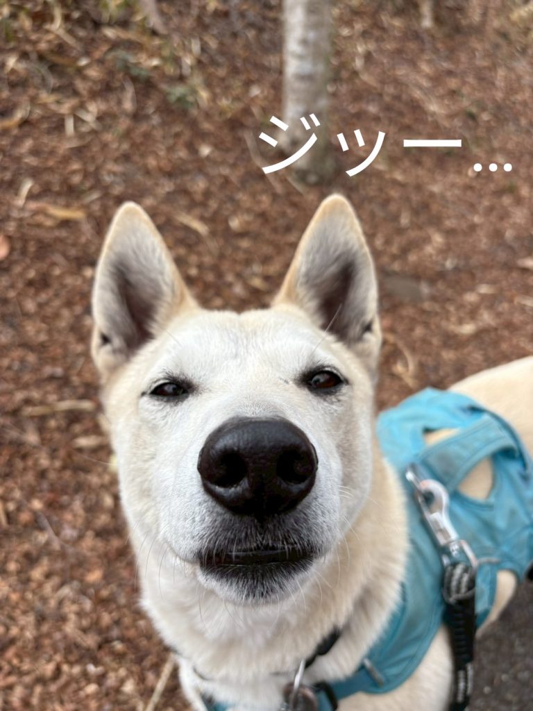 a35569b39a3f6fc1b473209ea8a9fb7b