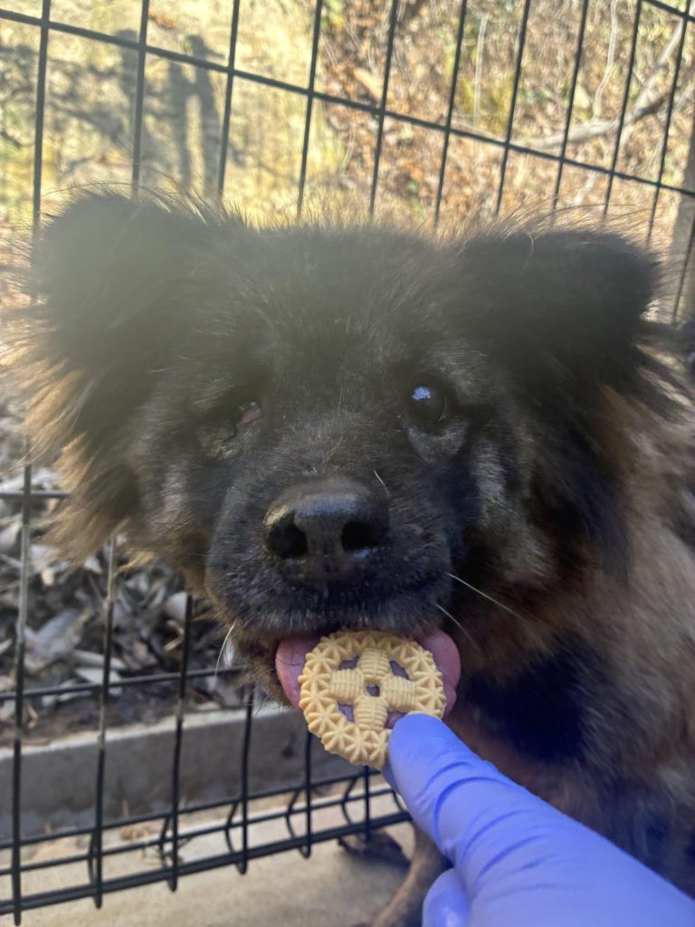 91f55d42d900fa8d12f0974ed3050af1