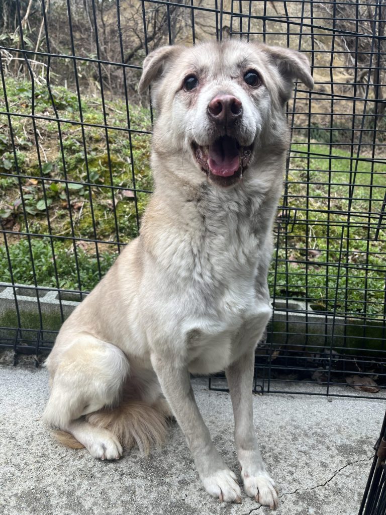 540bca3b8a7377bf8aabd4c1e751a31c