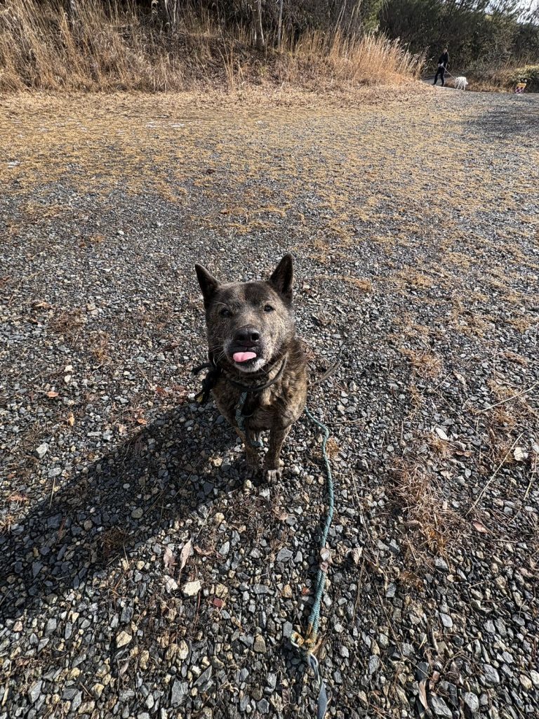 444f6095ccc7cc735b22e8c08fe56232