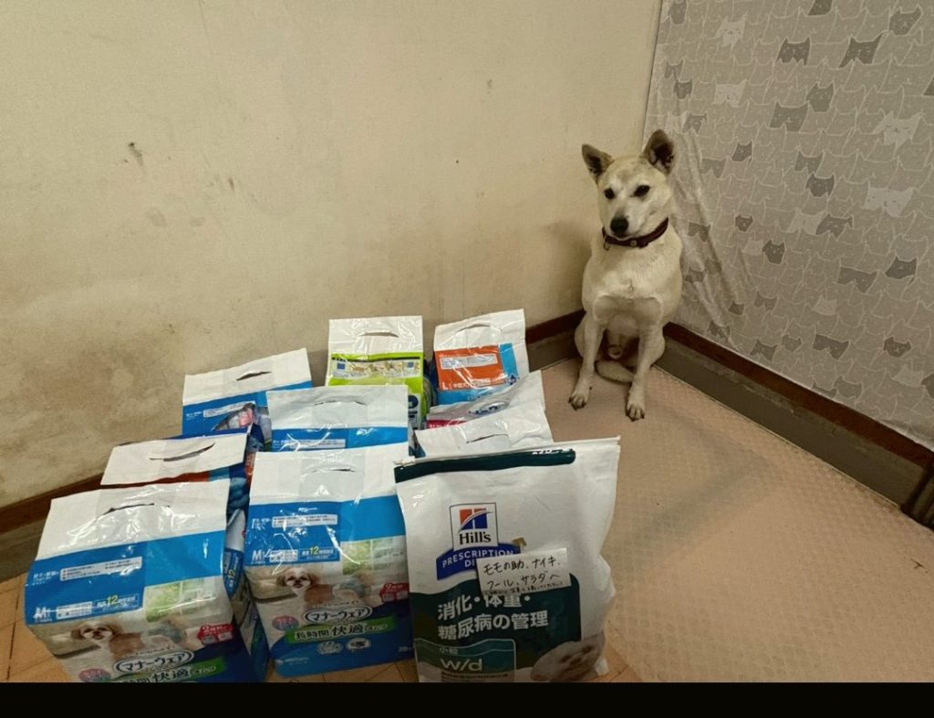 b6bf8d3a77acf684702843bc661b7fc4