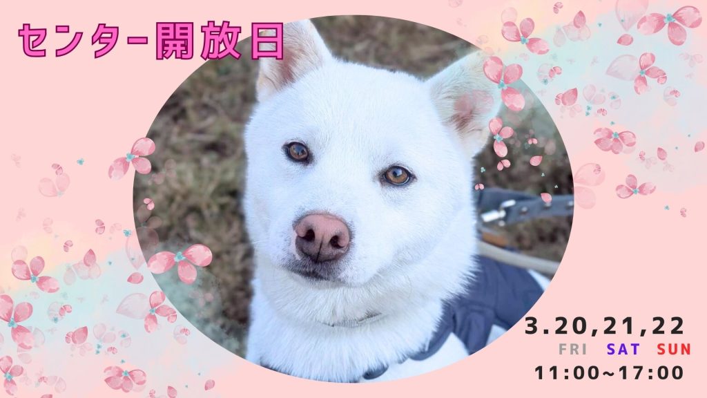 c041628b707154bcfa8bb93086434fd2