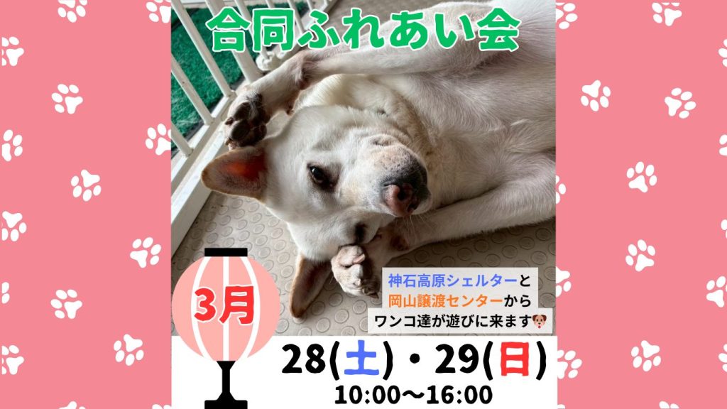 f1e319c4a1220f3961ae2af4ec65bbc4