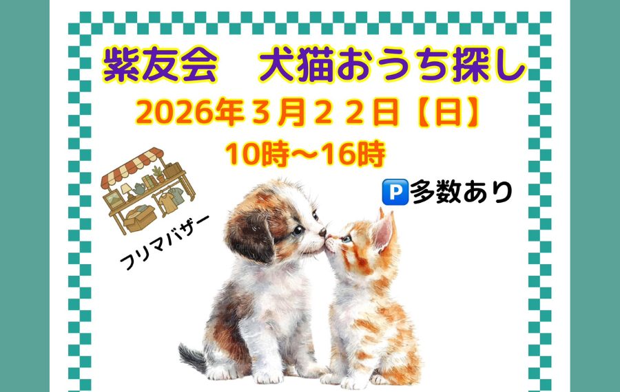 078feb634867c7a519b09d9ff807ea77