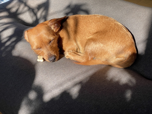 6c994998eafbff09f2b1a7c4b0246dec