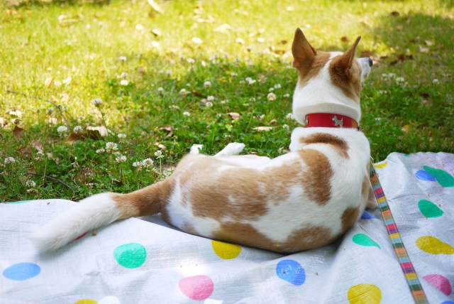 7ea7b066e21532a3a5c8445f3a097a6c