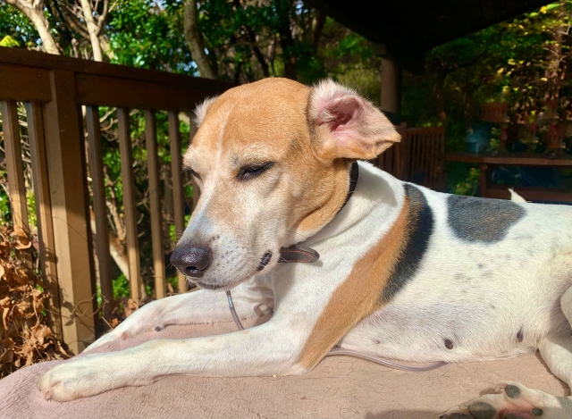 b56acaab69a2c8e17169c7be24a29587