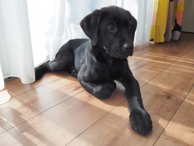 f52f6580d647ce0f49ed00f1408091e1