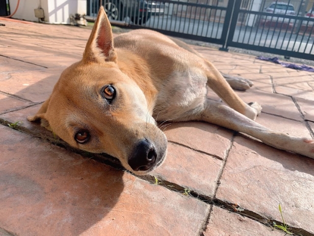 c0f6169ac77939bbceb67c918af0760e