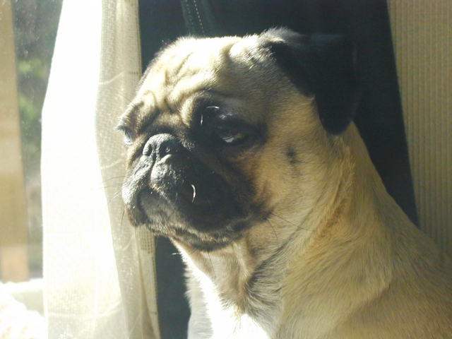 ffc517e632ba766036ec305c2167cc23