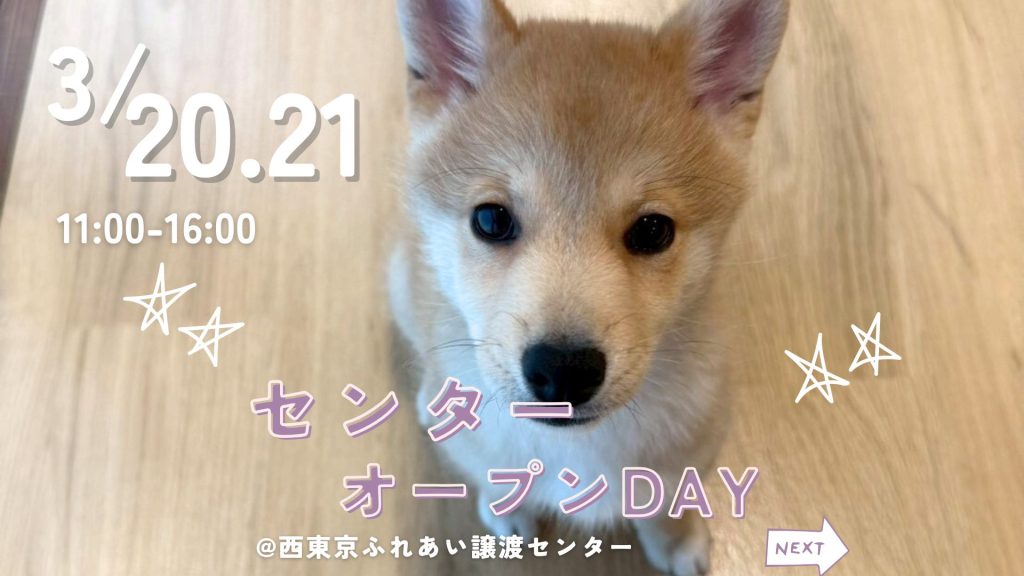 【ピースワンコのイベント】3/20(祝金)、21(土)「センターオープンDAY」を開催(西東京ふれあい譲渡センター) 1 d5c90fb165223c496fd51e9e105d6b13