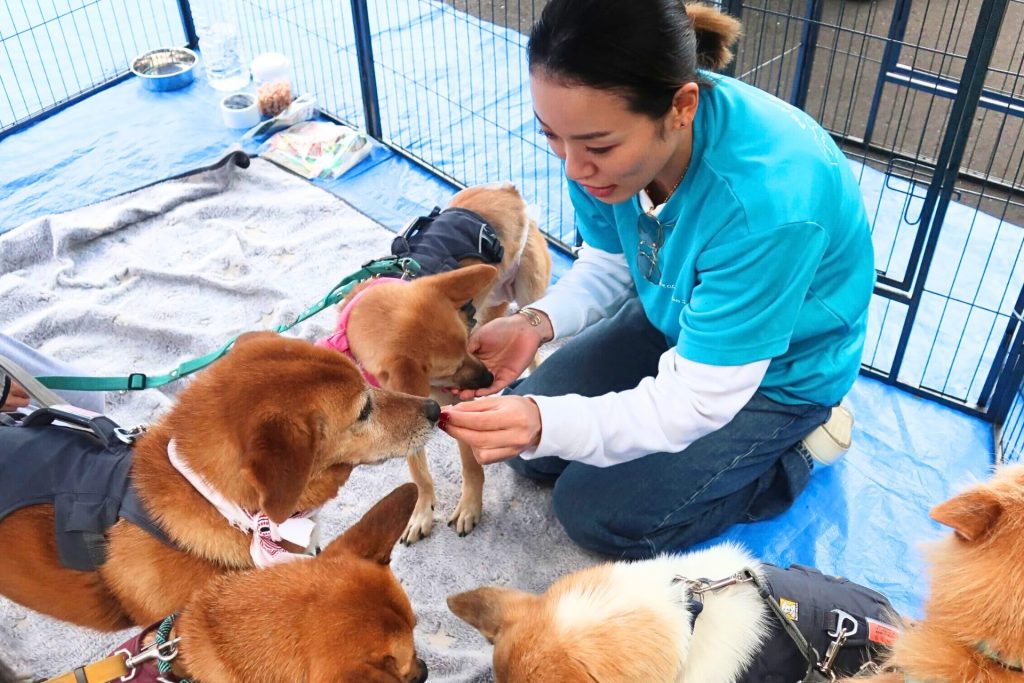 8a6a5781ccaba672502e6f225d142ea7