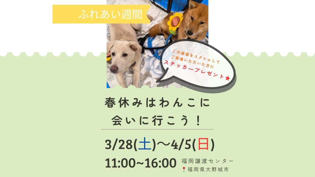 f93398ed399a108676b8bfb424074cc4