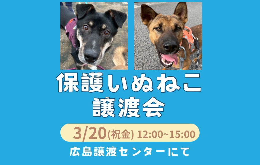 6912B6DB 1387 46C8 B0E2 7C367832B410