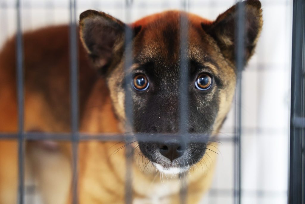 3e622c271dce165228860f102c9db1e1